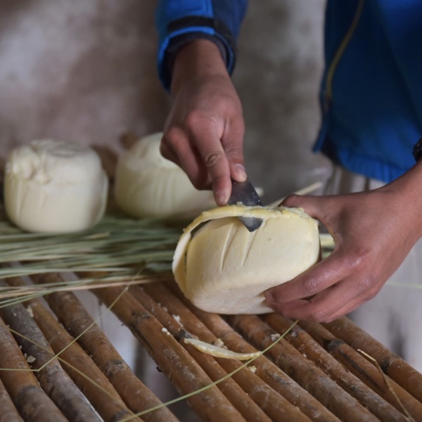 quesos de tafi del valle tucumán