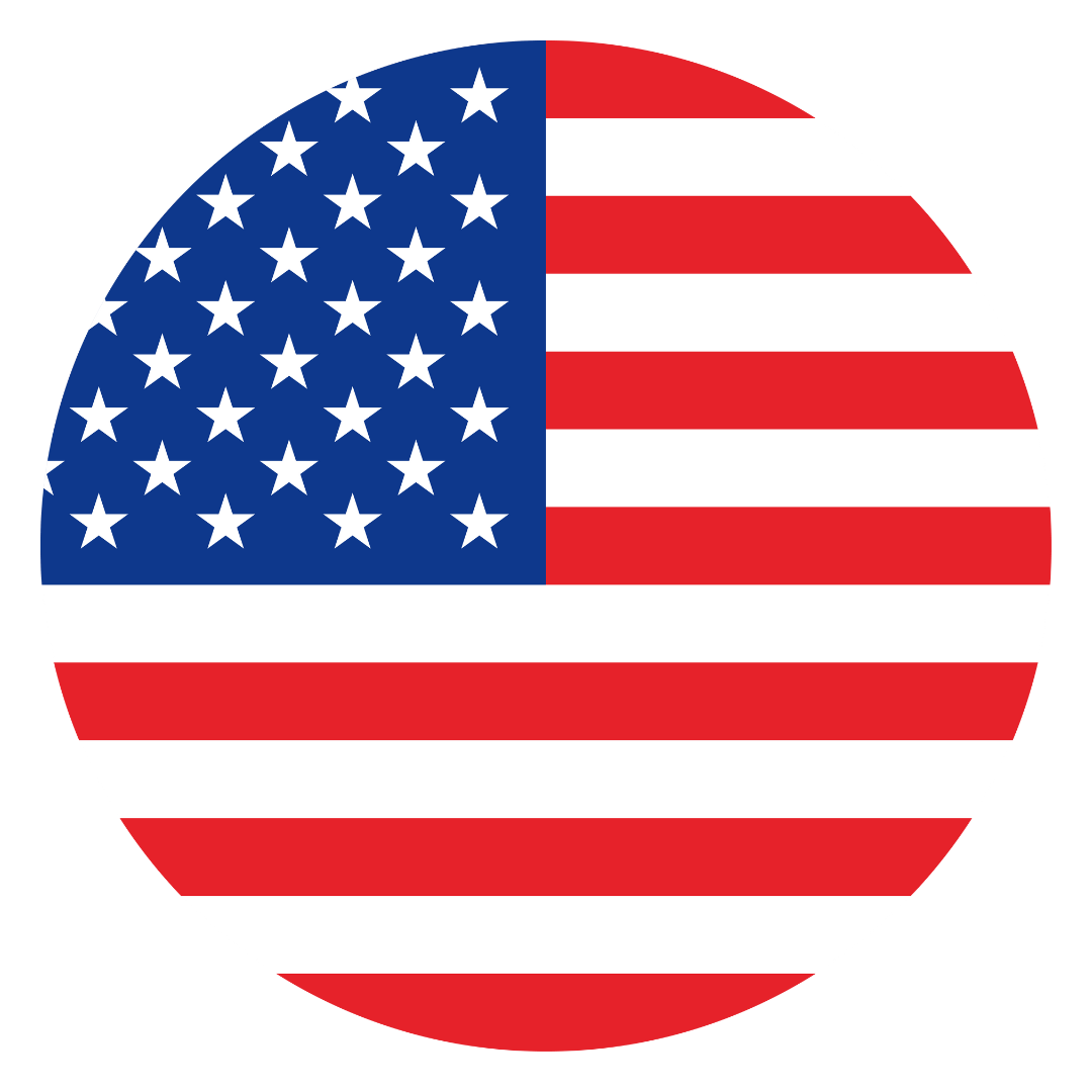 US Flag English Language Switch